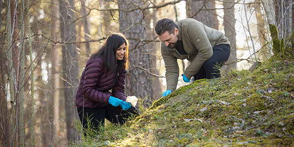 Forskarna tar prover ute i skogen